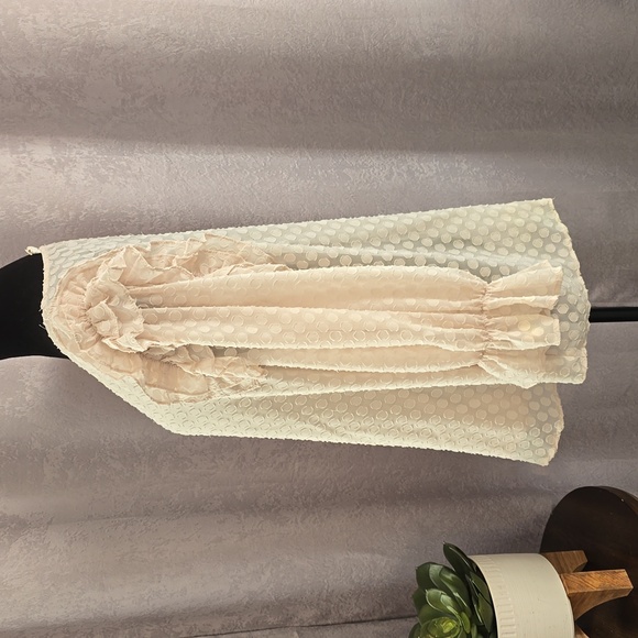 Perch by Blu Pepper Cream Dotted Ruffle Sleeve Blouse, Size 1X - Picture 6 of 11